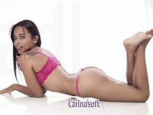 Carinasoft