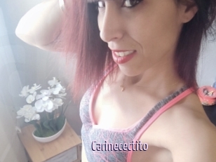 Carinecectito
