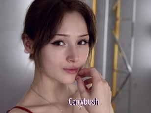 Carrybush