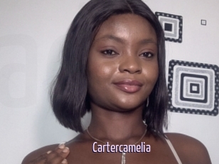 Cartercamelia
