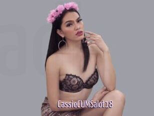 CassieCUMSalot18