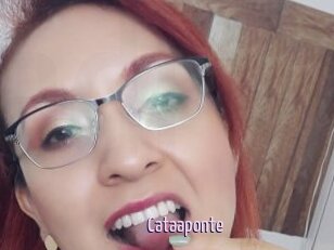 Cataaponte