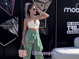 Cataleyasophia