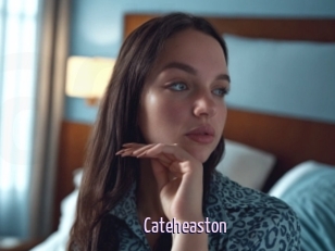 Cateheaston