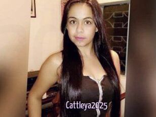 Cattleya2025
