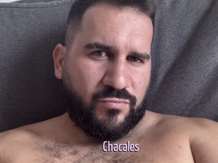 Chacales