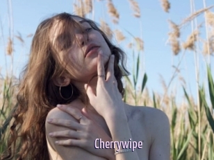 Cherrywipe