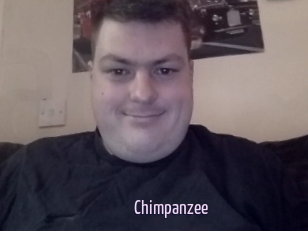 Chimpanzee