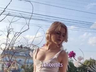 Chloecolts