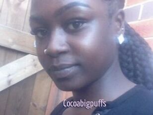 Cocoabigpuffs