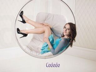 Cododo
