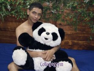 Collegegaym