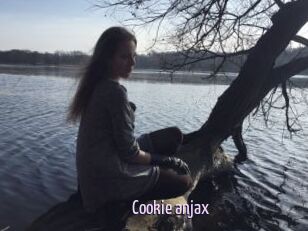 Cookie_anjax