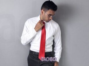 DACH_BOY