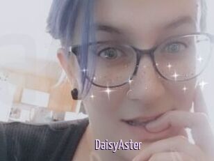 DaisyAster