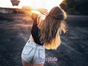 DaisyColle