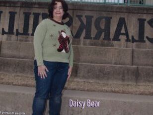 Daisy_Bear