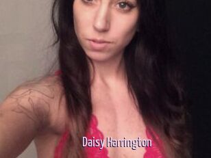 Daisy_Harrington