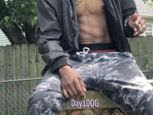 Day1DOG