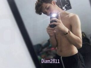 Diam2811