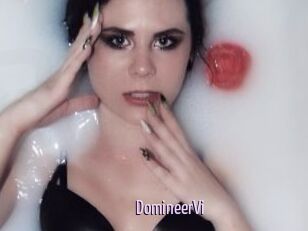 DomineerVi