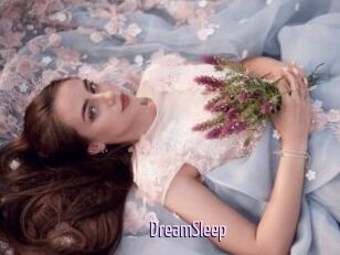 DreamSleep