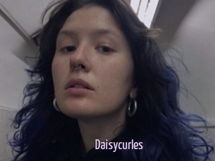 Daisycurles
