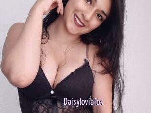 Daisyloviafox