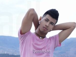 Damnfoxter