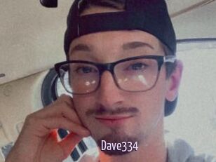 Dave334