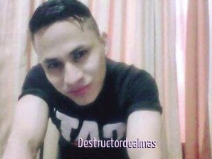 Destructordealmas