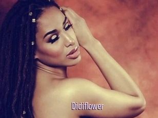 Didiflower