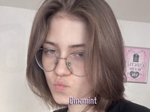 Dinamint