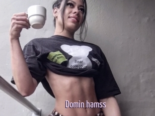 Domin_hamss