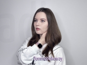 Dominoblakeway