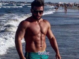 Domluc