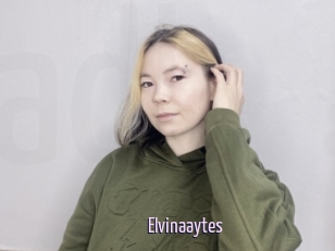 Elvinaaytes