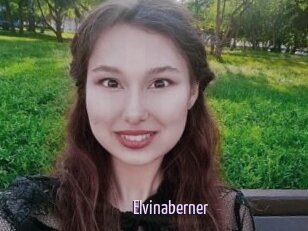 Elvinaberner