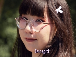 Elvinagitt