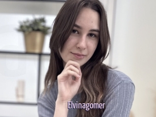Elvinagomer