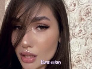 Elwineakey