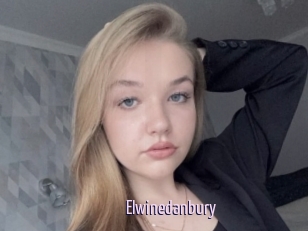 Elwinedanbury