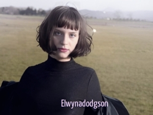 Elwynadodgson