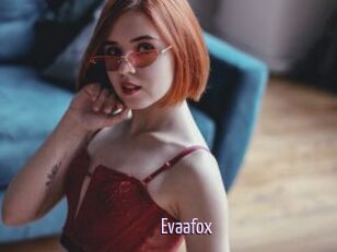 Evaafox