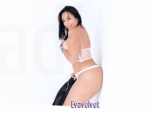 Evavelvet