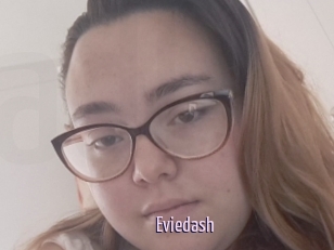 Eviedash