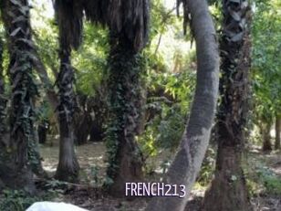 FRENCH213