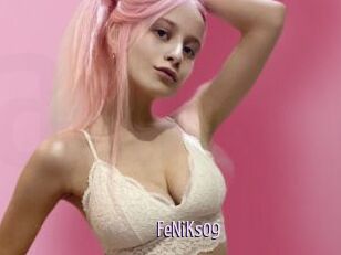 FeNiKs09