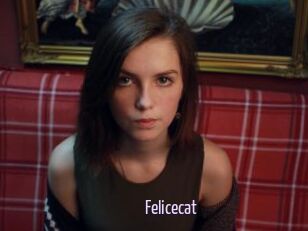Felicecat