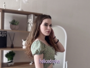 Felicedrover